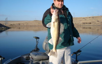Lake Oahe Walleye