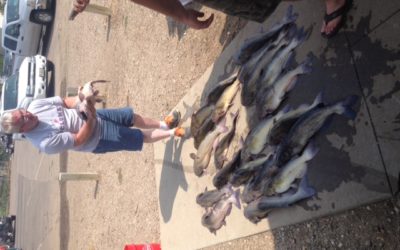 Big Cats caught in Oahe Tailrace