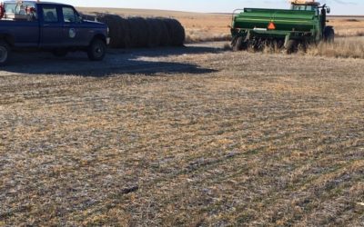 Re-planting CRP in Winter frozen ground