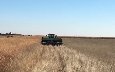 No-Till Re-Planting Does Not Hurt the CRP