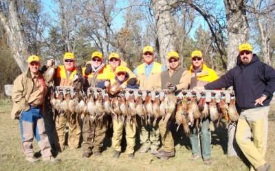 South Dakota Pheasant Hunts