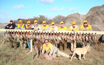 Unharvested Crops Make Pheasant Hunting Tougher Than Usual