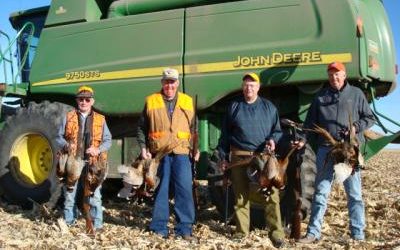 More Birds Harvest Complete