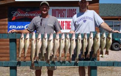 Another Big Walleye Bite this Morning