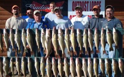 Large Walleyes Biting on Labor Day Weekend