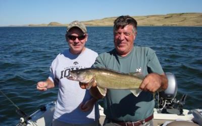 Another Nice Oahe Walleye