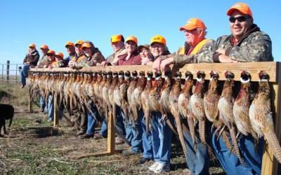 Family Pheasant Hunting Fun!