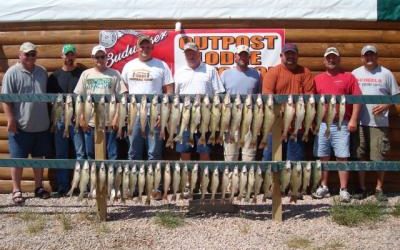 Pfizer Group – July 28, 2011