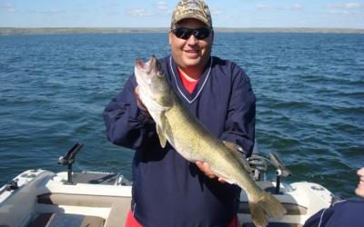 An old 29″ Walleye