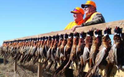 Michigan Brothers Hunt SD Pheasant 20 Years Straight