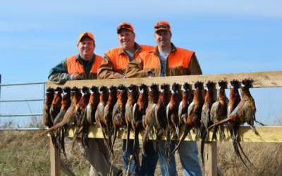 Minnesota Gopher Hawkeye Trio