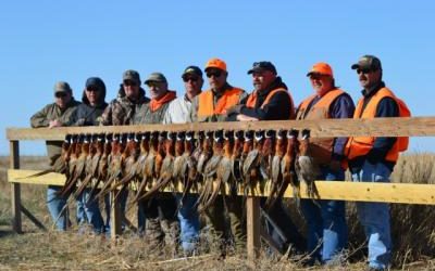 N.A. Degerstrom Seattle, WA