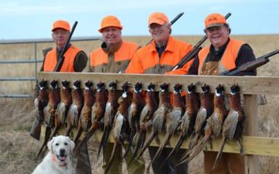 Steve Key Group – Nov. 19th