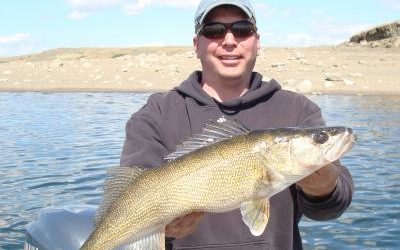 Lake Oahe Walleye Released 4/21/12