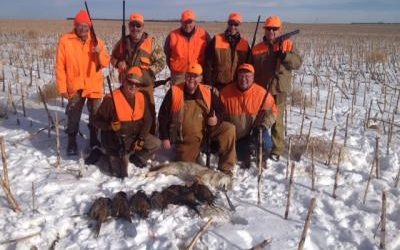 Roosters and Coyotes