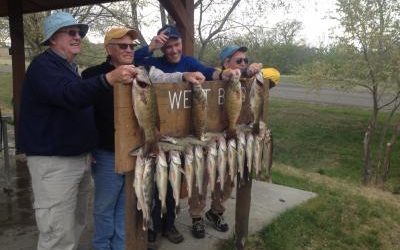 Limits of Walleye and Smallmouth bass