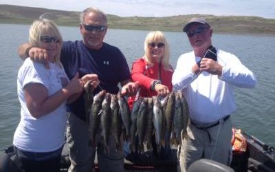Lake Oahe 20 walleye by 12:30 pm June 5, 2015