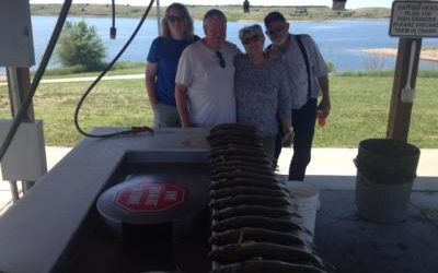 Another 20 Nice Lake Oahe Walleye by 11:30 AM June 8, 2015