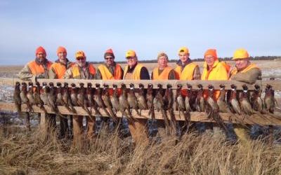 Pheasant Hunt Nov. 19, 2015