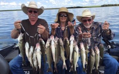 May 26, 2016 Cook Group Buffalo, Wyoming