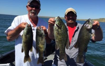 Now is the time to Catch Monster Smallmouth Bass on Oahe