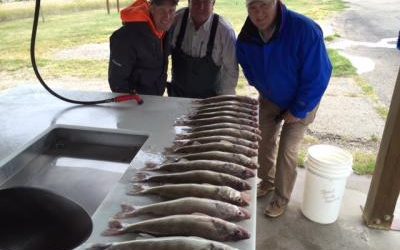 Nice Walleye Bite in Lake Sharpe Sept. 13 2016