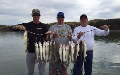 Cast and Blast Opener Oct, 15-17 2016