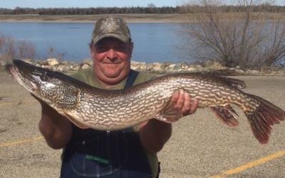 Northern Bite (March-April)