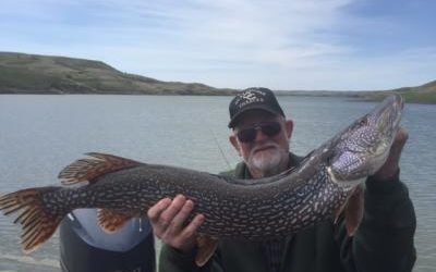 Northern Pike (April-May)