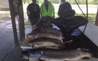 Catfish/Northern Pike Fishing (May)