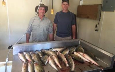 Nice Fish Here in Pierre Area