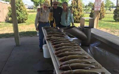 Buffalo Wyoming Group