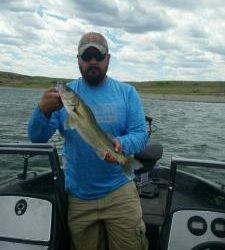 Lake Oahe Walleyes