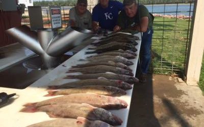 Bass Walleye Cats Aug. 20