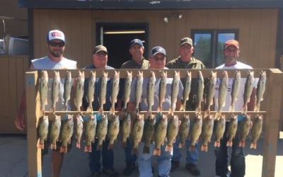 Excellent Spring Fishing Bite 2018