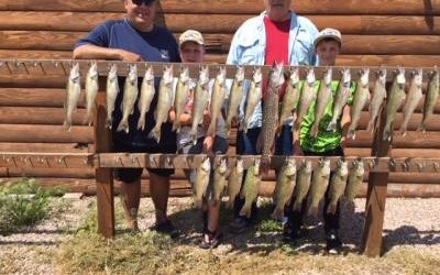 Lower Lake Oahe Looking Better