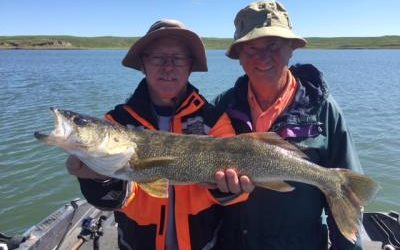 Proud Angler Walleye