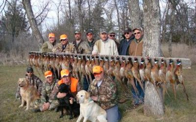 Pheasant Hunting SD
