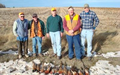 Hunting Pheasant in South Dakota