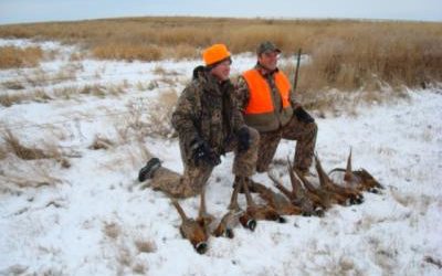 South Dakota Pheasant hunts