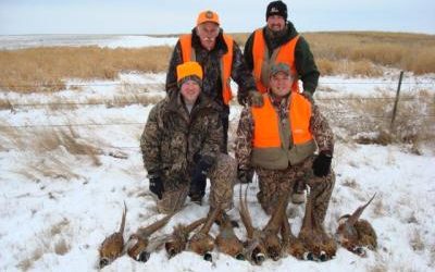 Pheasant Hunting South Dakota