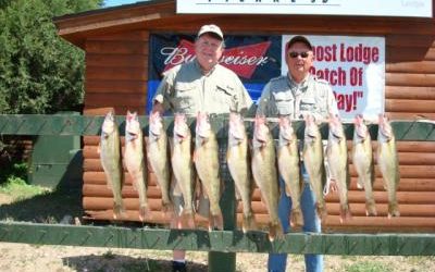 Lake Oahe Walleye