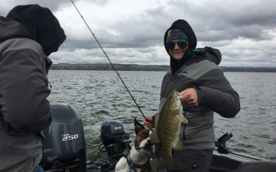 Lake Sharpe Fishing Report for April 27-28, 2019