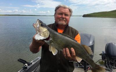 Big Cheyenne Walleye Released