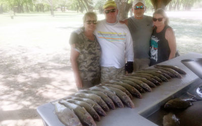 Oahe Walleye are on Fire