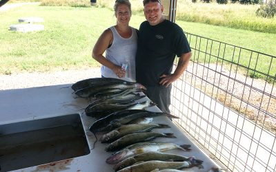 Walleye and Catfish bite on Lake Oahe