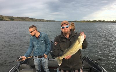 Great walleye bite for Minnesota group on Lake Sharpe