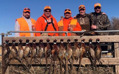 Great Day for a South Dakota Pheasant Hunt