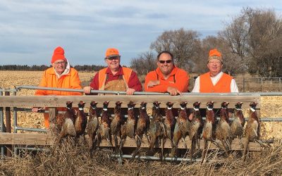 20 Years of Friendship