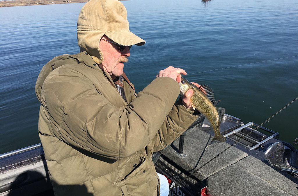 Fish are biting in Pierre